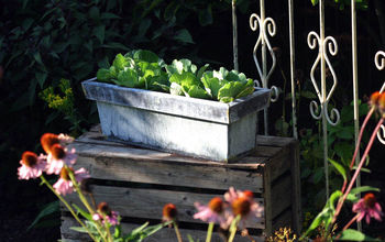 12 Container Garden Ideas to Kick Off Spring