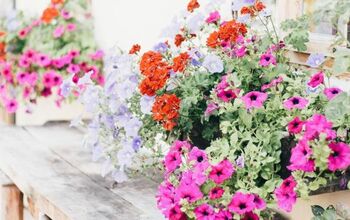 Build Your Own Wooden Window Box Planters