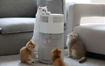 Discover the Wisesky W-Cat Air Purifier