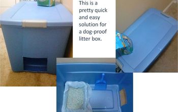 Easy and Quick Solution for Dog- Proof Litter Box