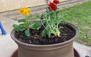 From Tire Rims To Spring Planters!