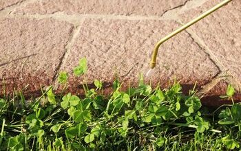 How to Get Rid of Clover in Your Lawn