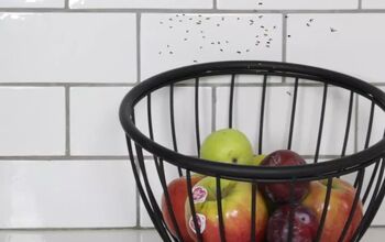 How to Get Rid of Fruit Flies Easily With Homemade Traps