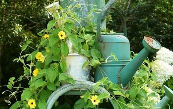 How to Grow Flowering Vines in Your Garden: 18 Ideas