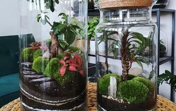 How to Make a Terrarium in 5 Simple Steps