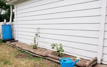 How to Use Logs as Edging For Plants & Make a Wall Trellis