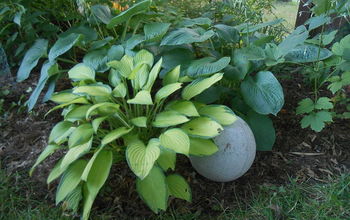 Recycle a Flat Basketball to Create a Hypertufa Garden Orb