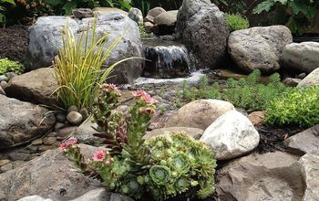 Stunning Landscape Design (Ideas) W/Fish Pond & Paver Patio By Acorn