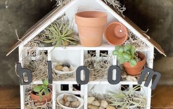 Mini Air Plant Garden - Target Dollar Spot Craft