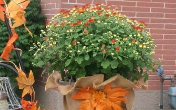 Plastic Hanging Basket Makeover Anyone Can Do!