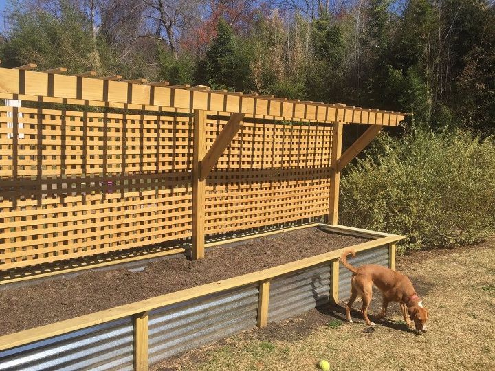 Raised Bed and Trellis