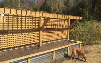 Raised Bed and Trellis