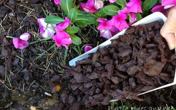 Recycle Plastic Jug Garden Scoop DIY