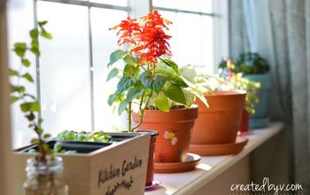 Removable Window Shelf for Plants