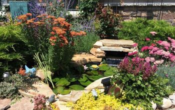 Small Garden Pond Paradise