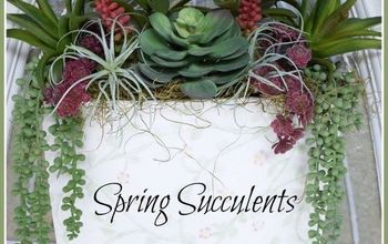 Spring Succulents for the Front Door