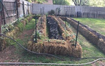 Straw Bale Gardening