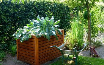 The Best DIY Raised Garden Bed Ideas