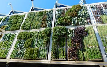 The Most Ingenious Vertical Garden Ideas For Small Spaces