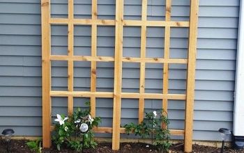 The DIY Trellis of All Time