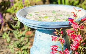 This Cute DIY Birdbath is Guaranteed to Attract a Few Feathered Friend