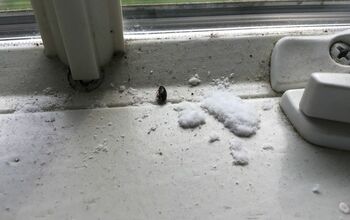 What is this white powdery substance on our windowsill (pic)?