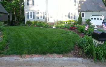 What's My Secret for a Plush Green Lawn?